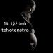 Image of 14. týždeň tehotenstva - Tehotenstvo po týždňoch ↓Premamicky.eu