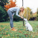 Image of Ako cvičiť psa pomocou v&yacute;cvikov&eacute;ho obojku? - Pridajte sa.sk
