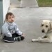 Image of BOH nerobí Chyby. Chlapec a Labrador.