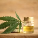 Image of CBD olej z&nbsp;konope: Obozn&aacute;mte sa s&nbsp;jeho &uacute;činkami! - MAGAZ&Iacute;N BOLD