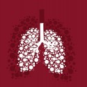 Image of CBD zmierňuje zápal dýchacích ciest a fibrózu - SWISS CBD POWER
