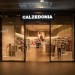 Image of Calzedonia e-shop v ČR