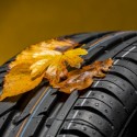 Image of Dunlop prin&aacute;&scaron;a na trhu s&nbsp;pneumatikami celoročn&uacute; novinku | Motor.sk - Motoristick&yacute; lifestylov&yacute; magaz&iacute;n