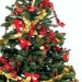 Image of História vianočného stromčeka a jeho zdobenia. Viete odkiaľ pochádza?