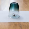 Image of Hnusia sa vám pavúky? Zabráňte im vliezť do bytu | News.sk