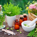 Image of Homeopatia – liečba bez vedľajších účinkov - MAGAZÍN BOLD