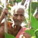 Image of Ind Premsai Patel môže byť najstarším človekom na svete, údajne má 118