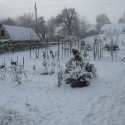 Image of Kožuch alebo vyp&iacute;nač? | Moja z&aacute;hradka