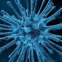 Image of Korona vírus naberá na sile aj vo vyhľadávaní