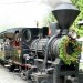Image of Kysucká lesná železnica a Oravská lesná železnica sa opäť spoja - Zaujímavosti a novinky