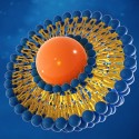 Image of Lipozom&aacute;lne vitam&iacute;ny a miner&aacute;ly: V čom s&uacute; in&eacute;? | Zdrav&yacute; svet