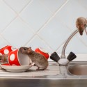 Image of Máte v dome myši? Zbavte sa ich skôr, ako vám znečistia domácnosť! | Odpudzovače.sk