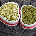 Image of Milujete jedl&aacute; z&nbsp;fazule? Iste si obľ&uacute;bite mungo - Magaz&iacute;n SEN