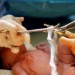 Image of Návšteva pediatra po pôrode - načo sa treba pripraviť?