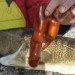 Image of Nórsky rybár ulovil tresku, našiel v nej prehltnutý červený vibrátor - Zaujímavosti a novinky