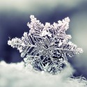 Image of Najchladnejšie miesto na Zemi alebo toto ste o snehu nevedeli - Kankán online magazín