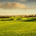 Image of RED OAK Golf Club - 18 jamkové golfové ihrisko v blízkosti Nitry