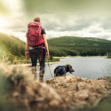 Image of S kamar&aacute;tom do h&ocirc;r, čo a ako berieme pre horsk&yacute; v&yacute;let so psom? - Magaz&iacute;n SEN