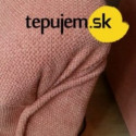 Image of Tepovan&iacute;m k zdrav&scaron;ej dom&aacute;cnosti | Internetov&yacute; magaz&iacute;n dt.sk
