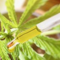 Image of Už&iacute;vanie konopn&eacute;ho extraktu s CBD pozit&iacute;vne ovplyvnilo hladinu HDL cholesterolu - SWISS CBD POWER