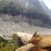 Image of Výnimočné video nakrútil orol s kamerou na chrbte, úžasný pohľad z hora