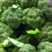 Image of Vegetari&aacute;nstvo | Di&eacute;ty - strava . eu