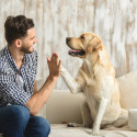Image of Čomu n&aacute;s vedia naučiť zvierat&aacute; - Kank&aacute;n online magaz&iacute;n